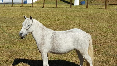 osiris da aa matriz